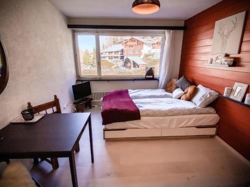 Studio MIA - Cosy & Comfortable - Glacier Paradise, Zermatt