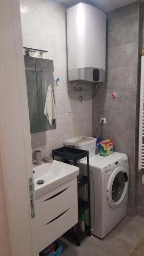 One-Bedroom Apartment image 6