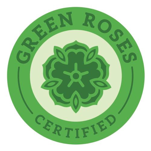 HOSTAL ROM Familiar - Roses