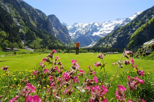 H+ Hotel & SPA Engelberg - image 7