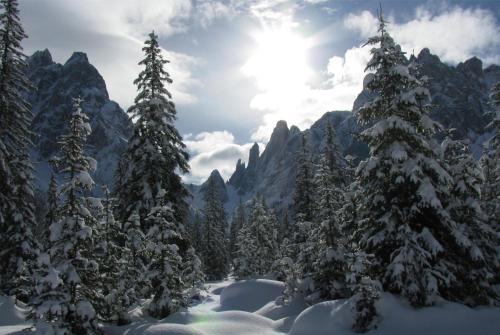 Hotel Dolomitenhof S.R.L.