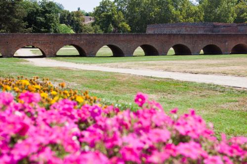 Rubin Relax Apartman - image 2