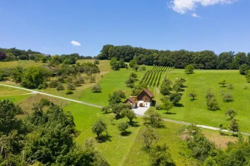 Weingarten & Appartement Auszeit with private Spa in Söchau, Österreich