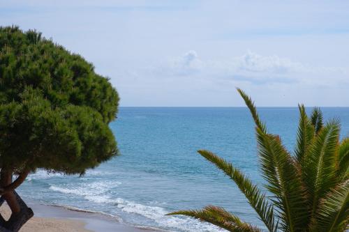 Residence Sole Mare Alaxi Hotels - image 6