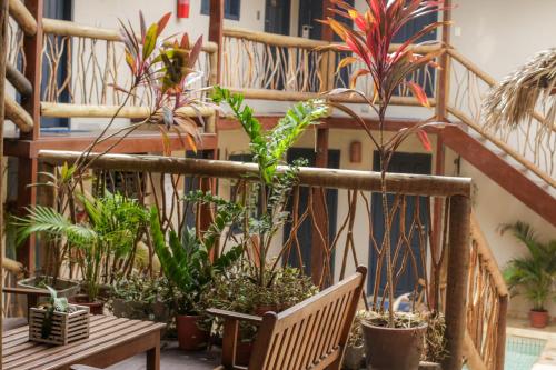 ทัศนียภาพภายนอกโรงแรม, Azul Pousada in เจริโคโคร่า