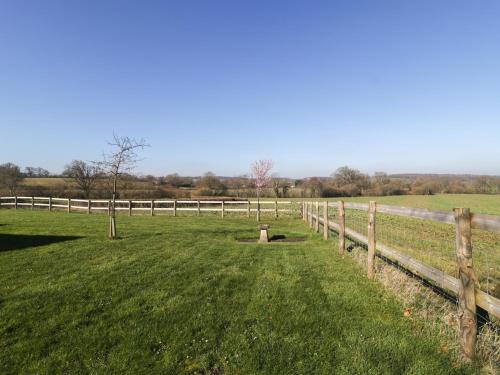 Field View - image 10