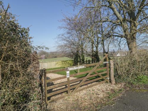 Field View - image 2