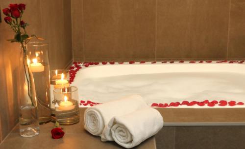 289864269 Holiday Inn San Luis Potosi-Quijote by IHG