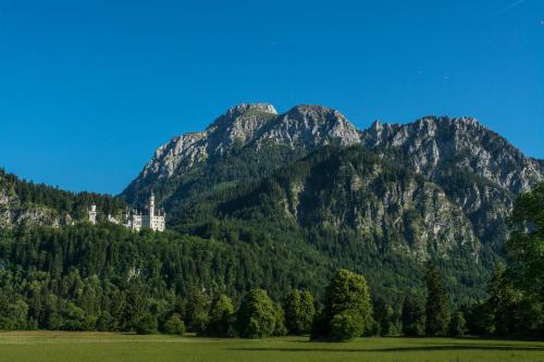 Hotel Garni Alpspitz Superior - image 8