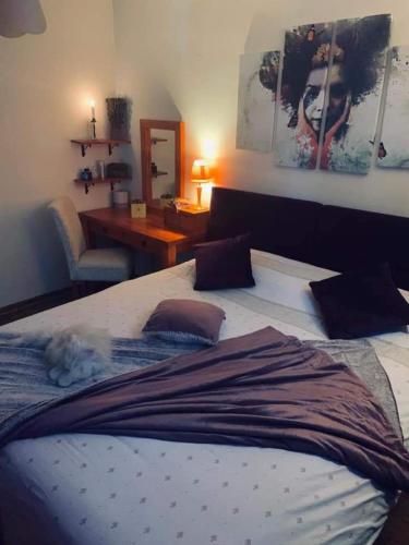 Vila Dragana photo
