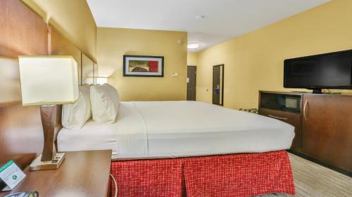 Holiday Inn Express & Suites Houston South - Near Pearland, an IHG Hotel - image 3