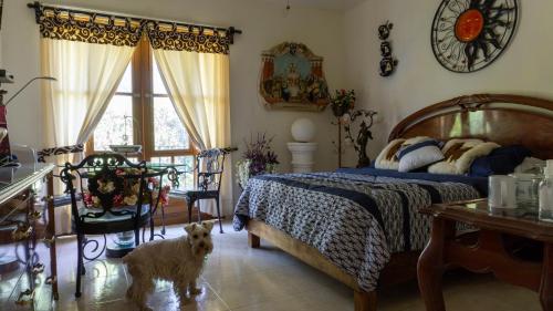 El Jardín del Edén B&B Boutique - image 5