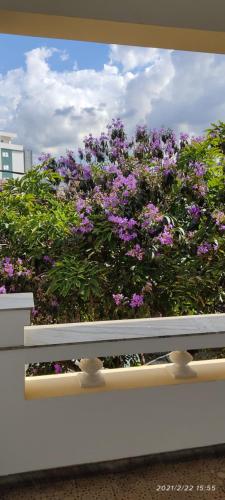 Hotel Barroco in Oeste