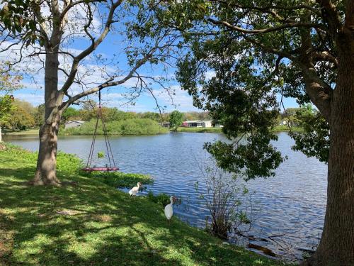 Private Tropical Waterfront Sanctuary with pool, hot tub & an island! in New Port Richey (FL)