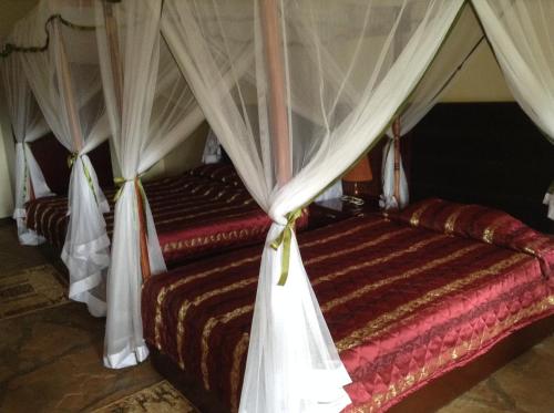 AA Lodge Amboseli