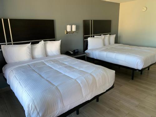 South Padre Island Lodge - image 12