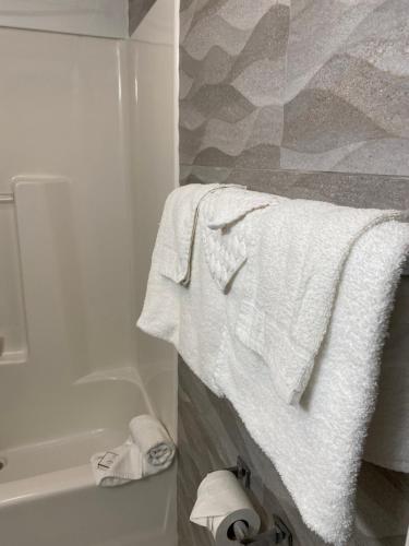 Relax Inn North Babylon - image 2