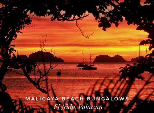 Maligaya Beach Bungalows – El Nido, WI