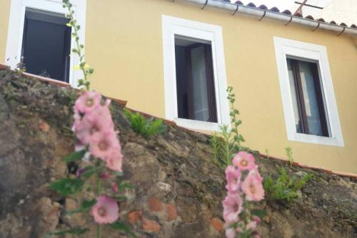 Charmante maison plein centre à 200m de la Plage gîte à louer Les Sables-d'Olonne