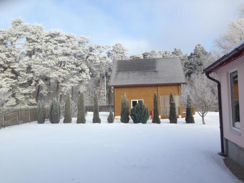 Country House Near Lighthouse - image 8