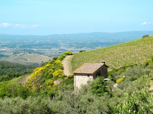  Holiday Home Cellole - Valluccia by Interhome in Castellina in Chianti