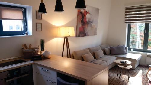 Apartman Srebrena lisica - Babin do Bjelašnica - Free Garage -SKI to door- Kanton Sarajevo - Apartment - Bjelašnica