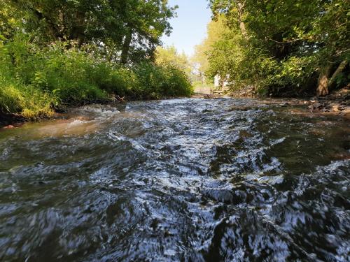 Riverside Cabin - Sleeps 2 - HotTub - Parking, Oswestry (fotografie 11)