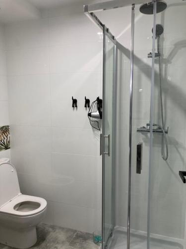Apartament Swobodna No.2 2