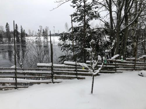 Apple tree cabin with river views