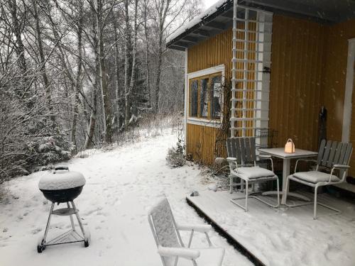 Apple tree cabin with river views