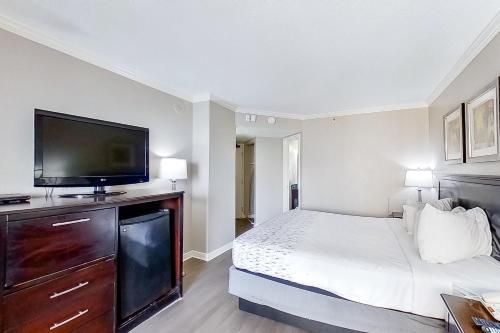 1 king bed, 1 sofa bed