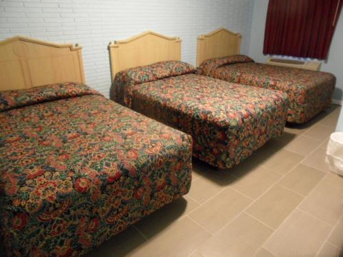 Double Room with Three Double Beds