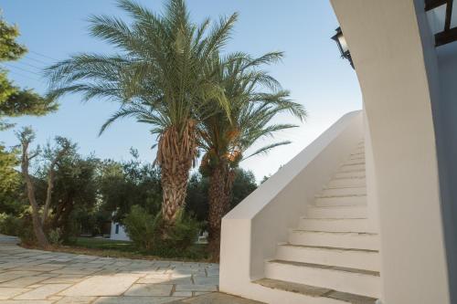 Far Out Village Hotel - image 8