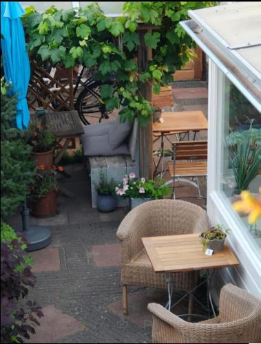 Garden, Boutique hotel Zeelui in Egmond aan Zee