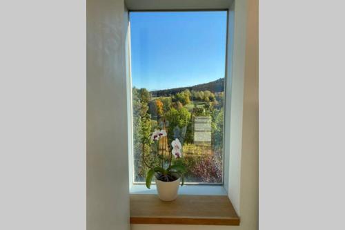 Nachhaltiges Wohnen in Seenähe (Nachhaltiges Wohnen in Seenahe) in 拉爾/黑森林