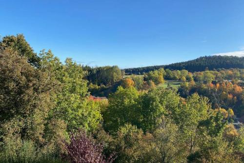 Nachhaltiges Wohnen in Seenähe (Nachhaltiges Wohnen in Seenahe) in 拉爾/黑森林