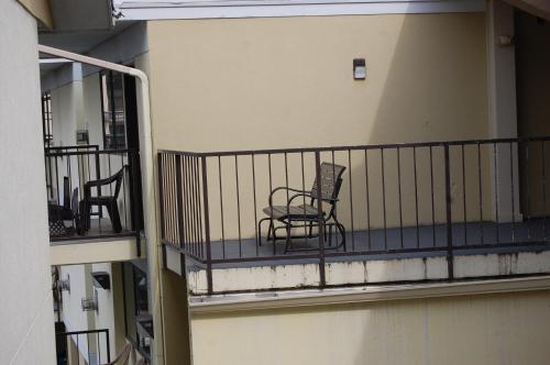 Vacation Lodge - image 11