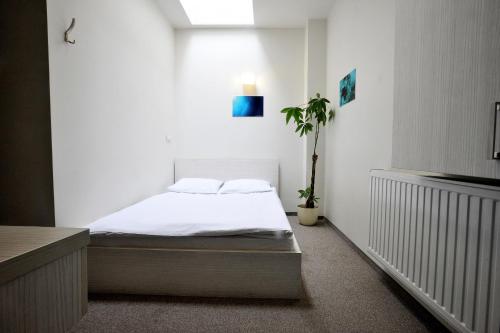 Standard Double Room room in Hostel Promenada