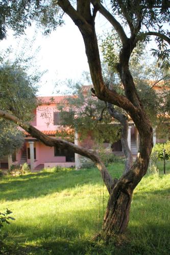 Residence Approdo Verde