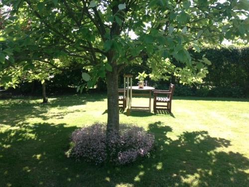Beaconsfield Farm - image 3
