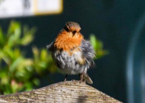 An Cuan Bed & Breakfast – Isle of Islay