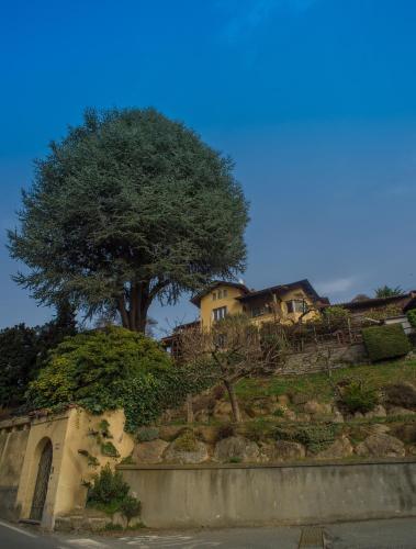  B&B Villa Camilla in Pralungo
