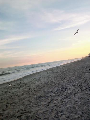 Lee's Myrtle Beach Condo