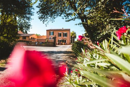 B&B Château Ciceron - Accommodation - Ribaute