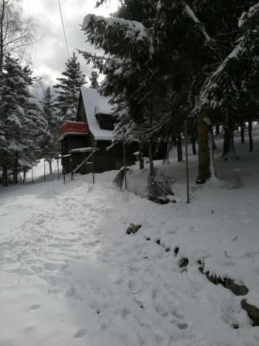 Waldhaus, Ski- und Wanderhütte