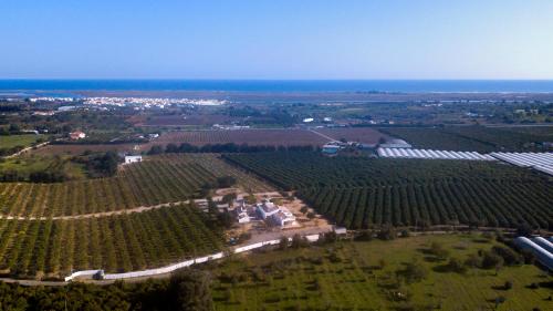 Quinta da Pintassilga