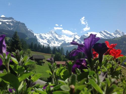 Hotel Residence Brunner - image 9