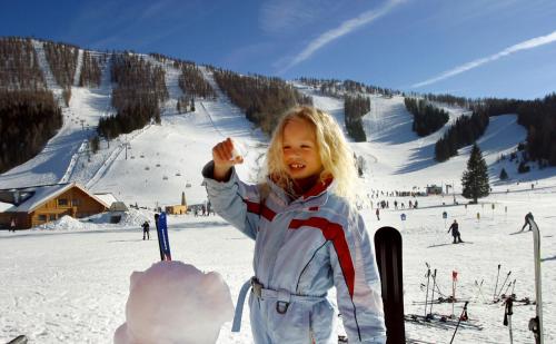 Almresort Baumschlagerberg - image 14