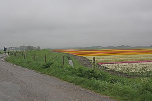  Hotelhuisje Warmenhuizen #B in Warmenhuizen