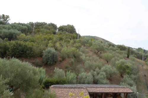 Apartment in Ascea - Cilento 38222, Ascea (foto 9)
